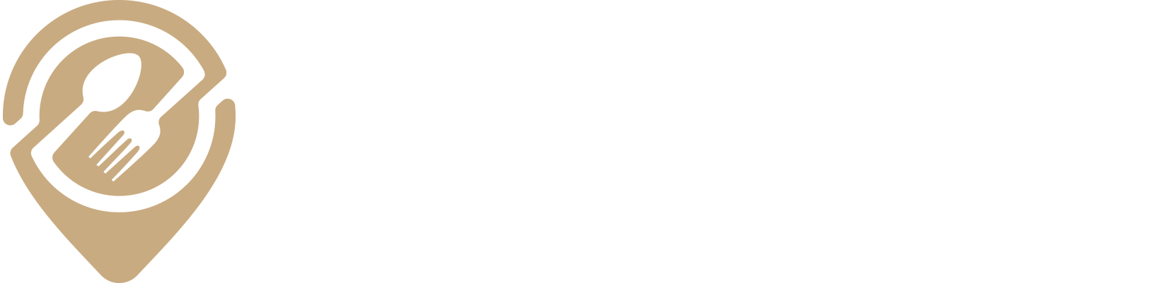 Millennium_logo
